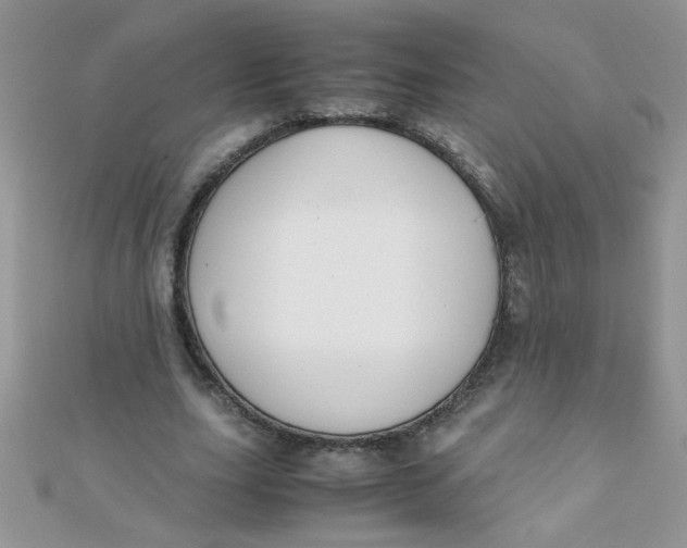 X0000112370631200909031932