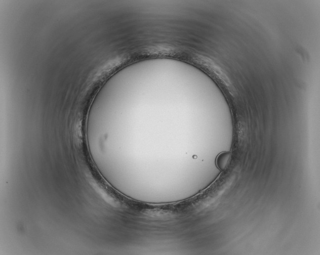 X0000112370633200909031932
