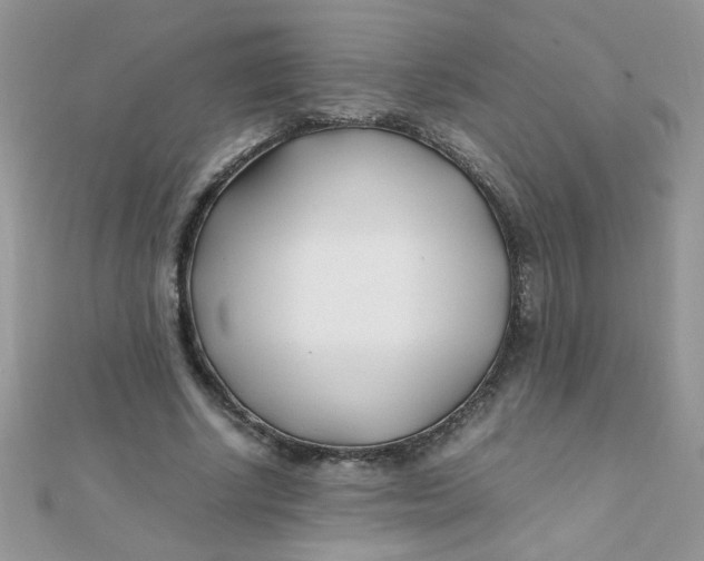 X0000112370634200909031932