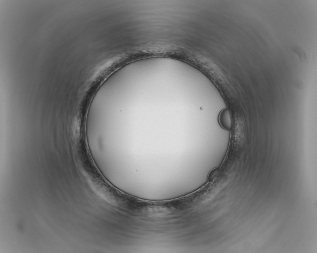 X0000112370636200909031932