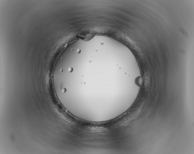 X0000112370637200909031932