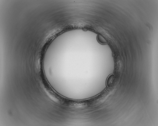 X0000112370638200909031932