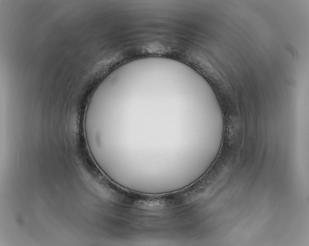 X0000112370639200909031932