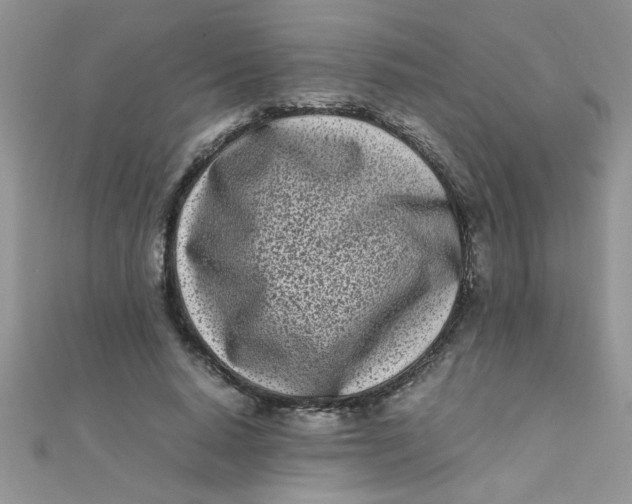 X0000112370640200909031932