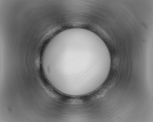 X0000112370644200909031932