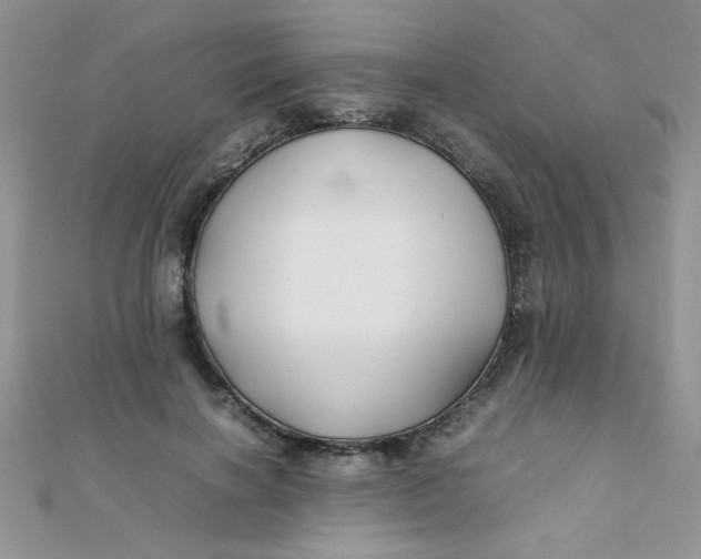 X0000112370646200909031932