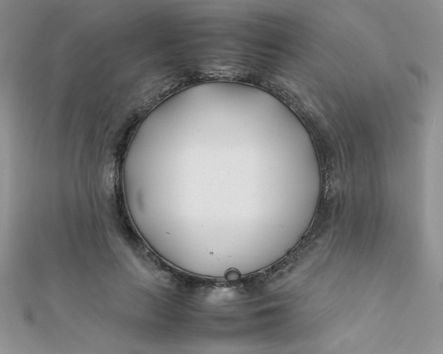 X0000112370647200909031932