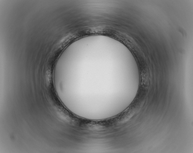 X0000112370648200909031932