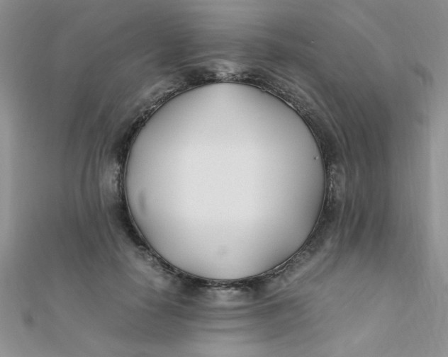 X0000112370650200909031932