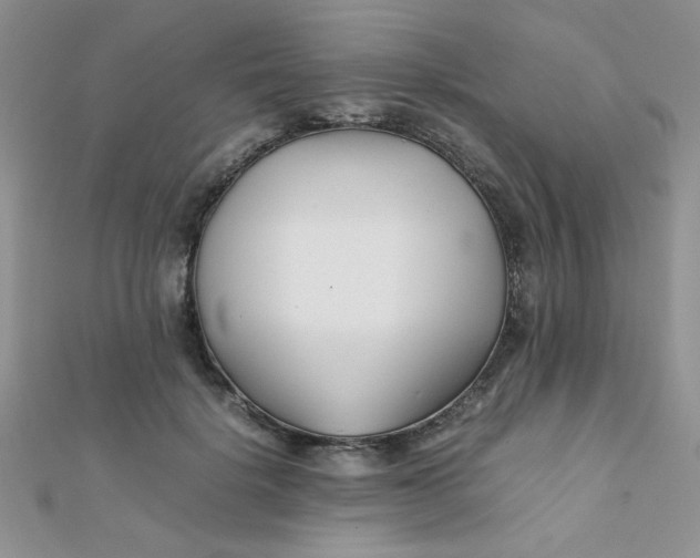 X0000112370652200909031932