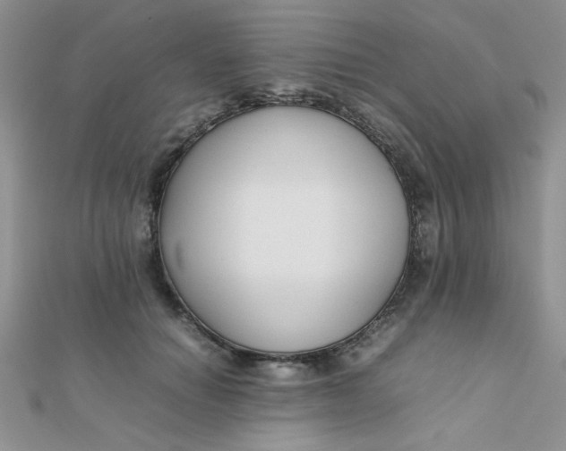 X0000112370654200909031932
