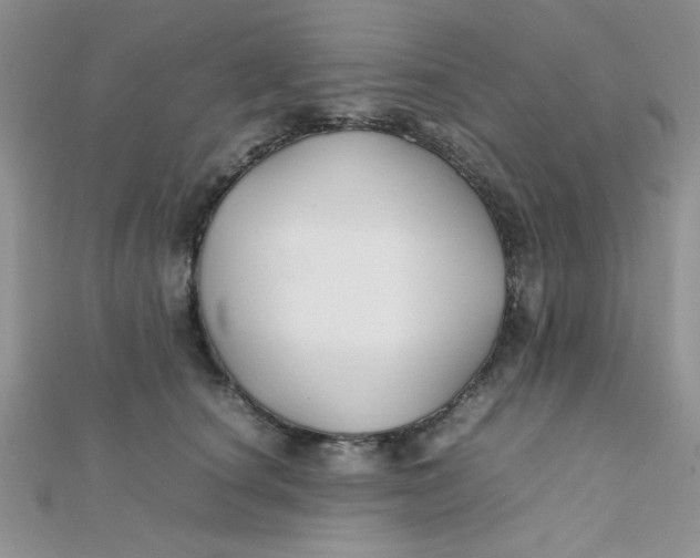 X0000112370660200909031932