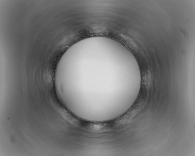 X0000112370662200909031932