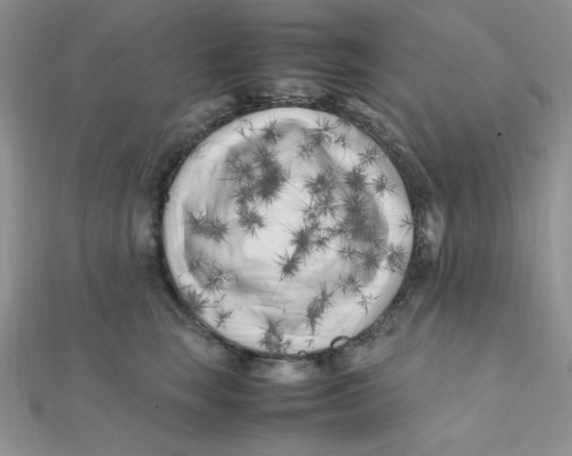 X0000112370663200909031932