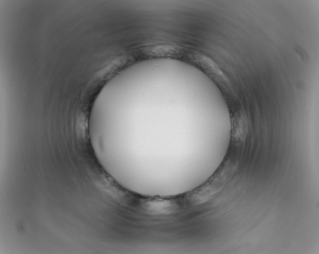 X0000112370669200909031932