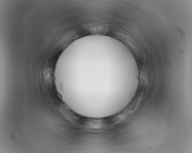 X0000112370671200909031932