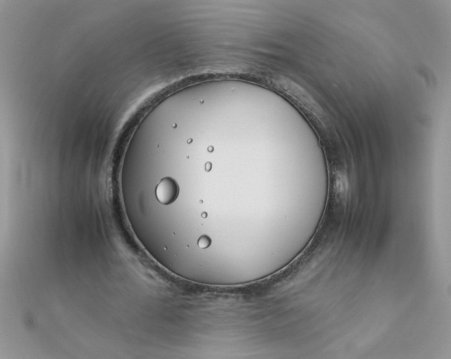 X0000112370676200909031932