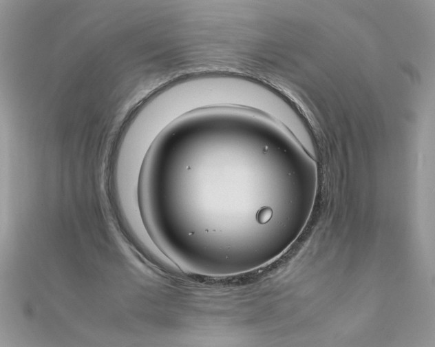 X0000112370677200909031932