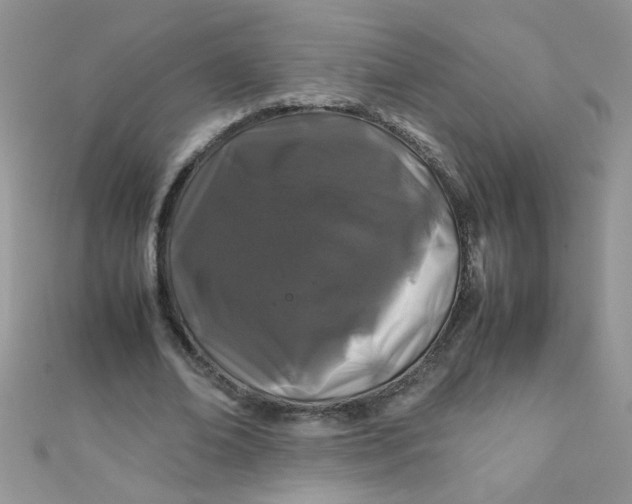 X0000112370678200909031932