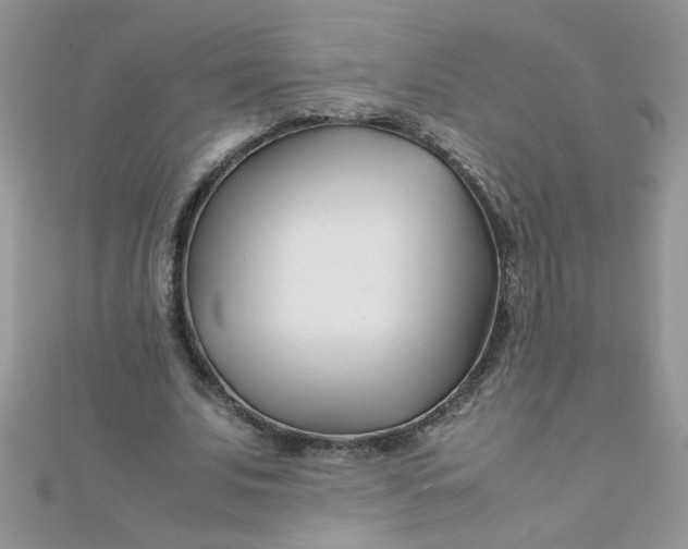 X0000112370679200909031932