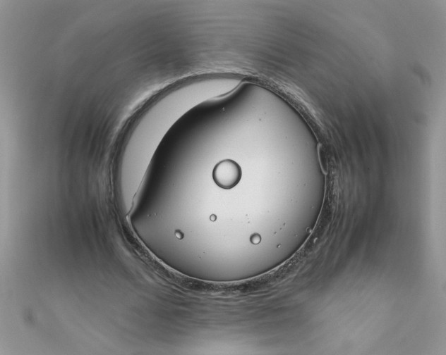 X0000112370680200909031932