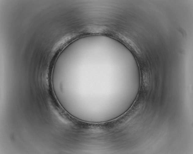 X0000112370682200909031932