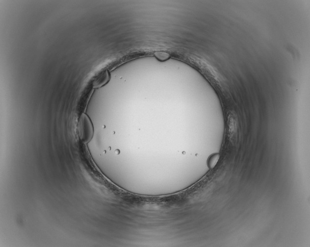 X0000112370684200909031932