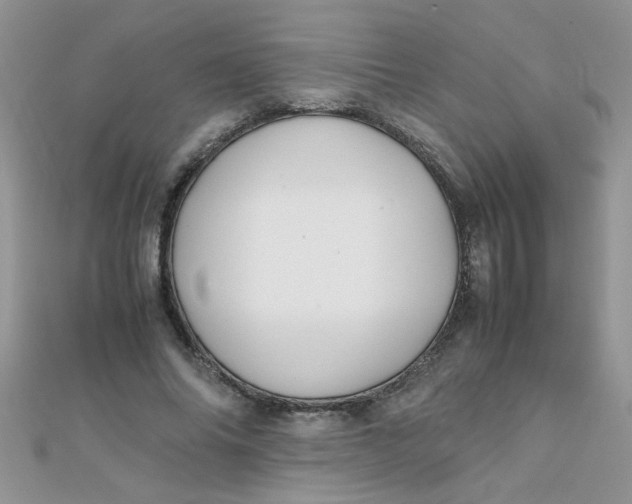 X0000112370686200909031932