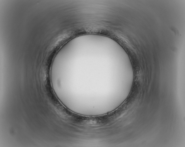 X0000112370687200909031932