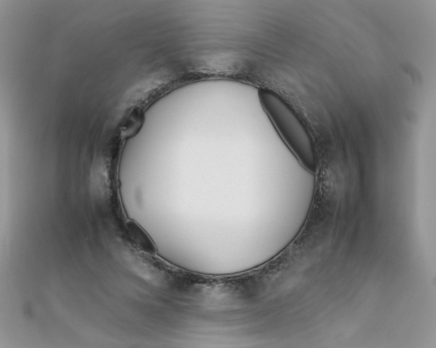 X0000112370688200909031932