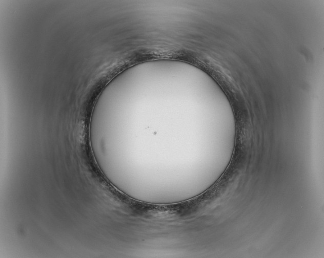 X0000112370689200909031932