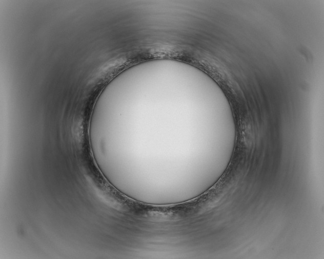 X0000112370690200909031932