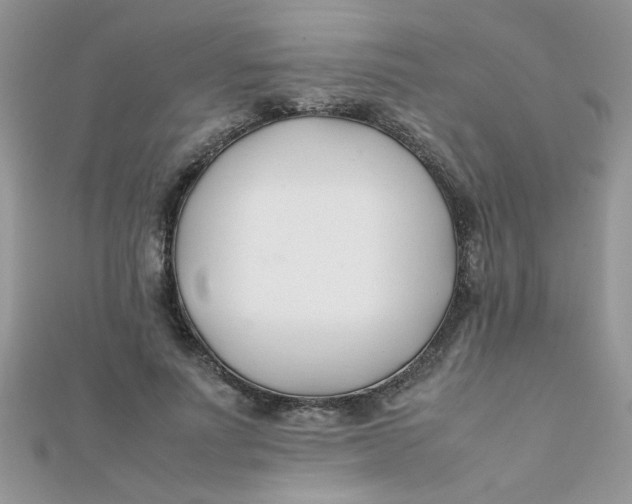 X0000112370691200909031932