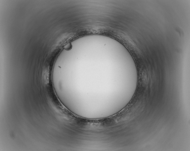 X0000112370694200909031932