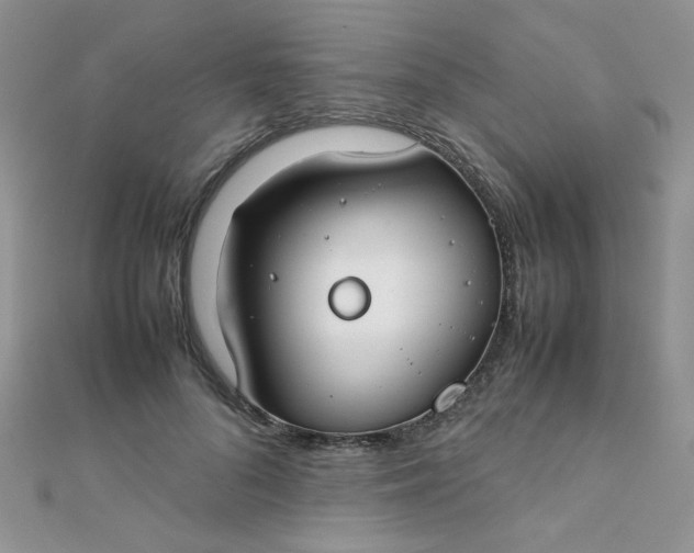 X0000112370696200909031932