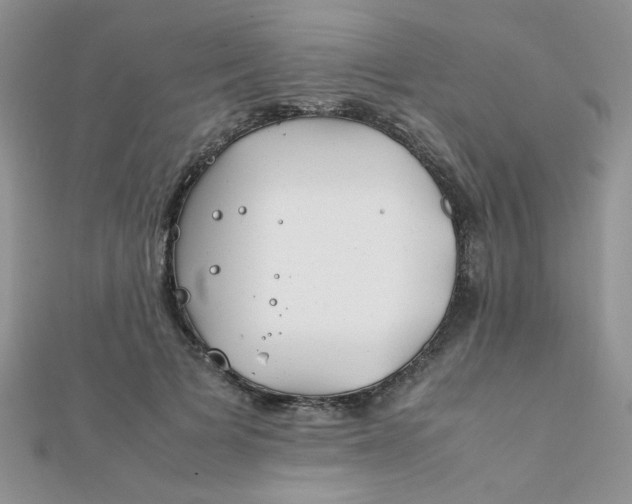 X0000112370697200909031931