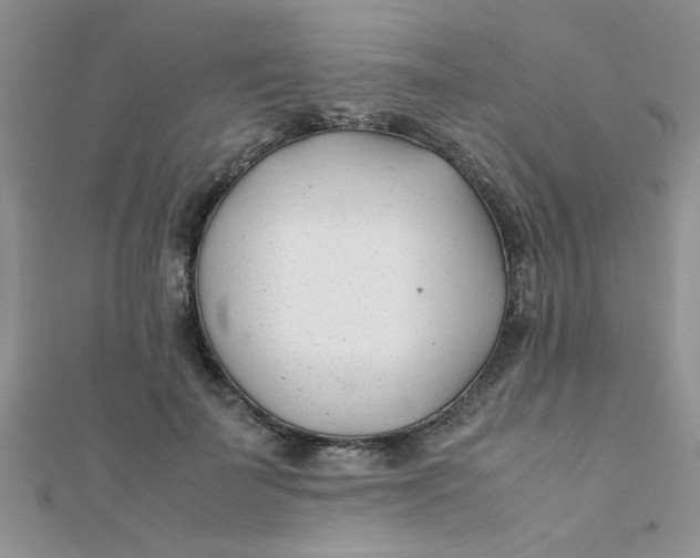 X0000112370699200909031931