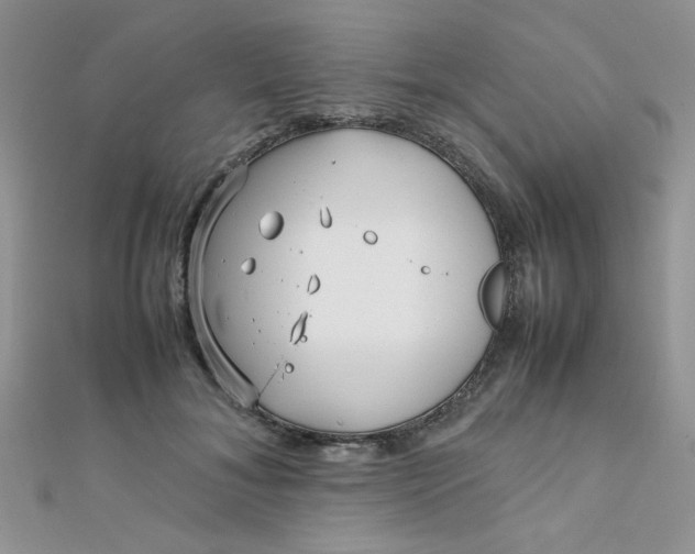 X0000112370700200909031931