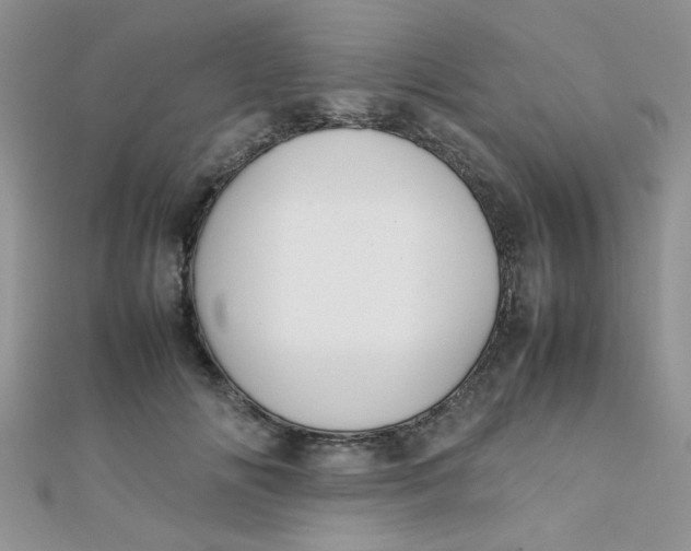 X0000112370702200909031931