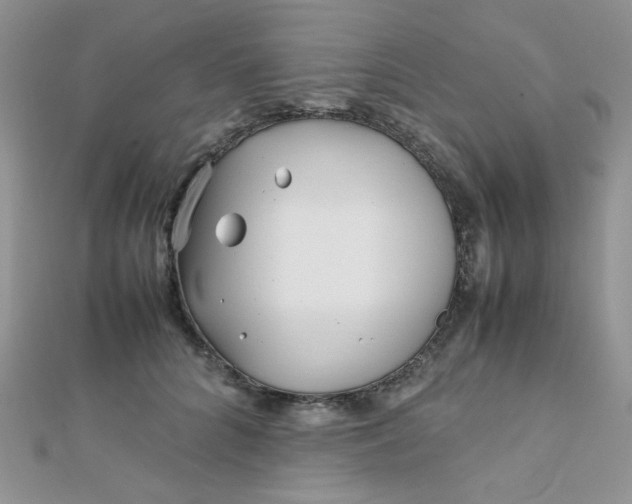 X0000112370704200909031931