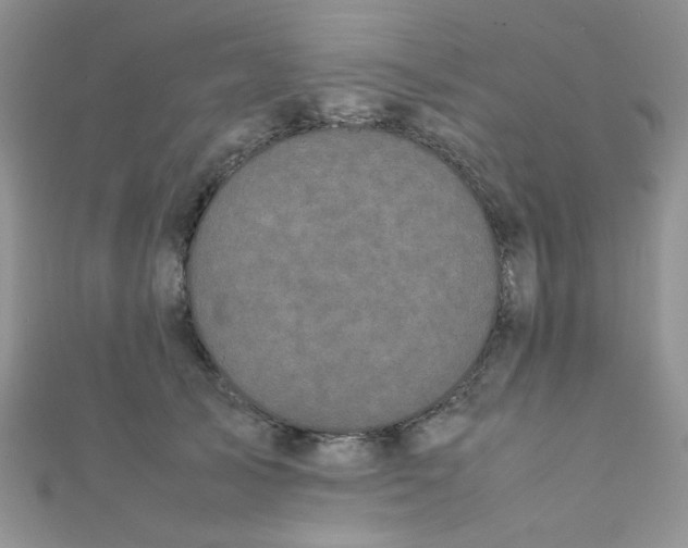 X0000112370705200909031931