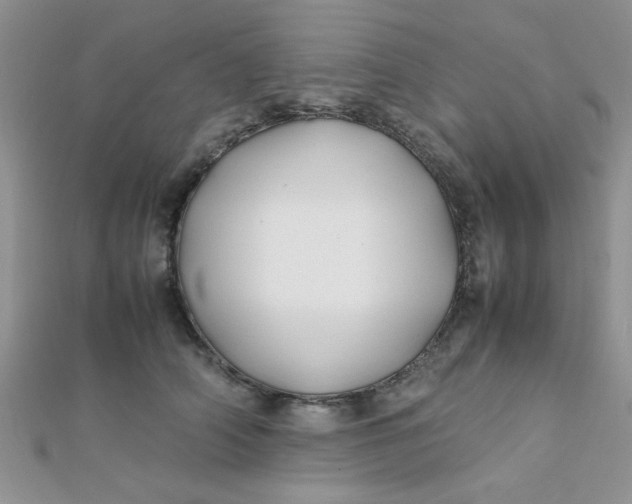 X0000112370706200909031931