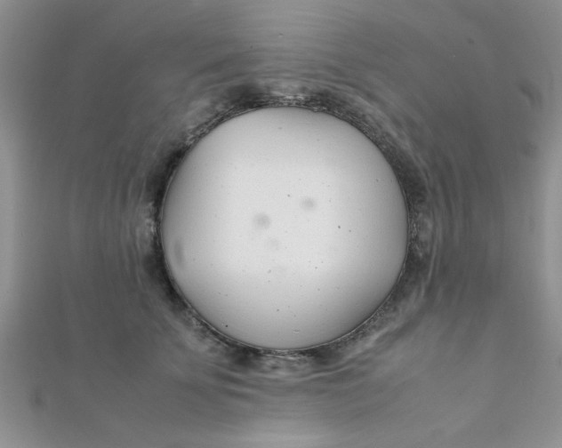 X0000112370707200909031931