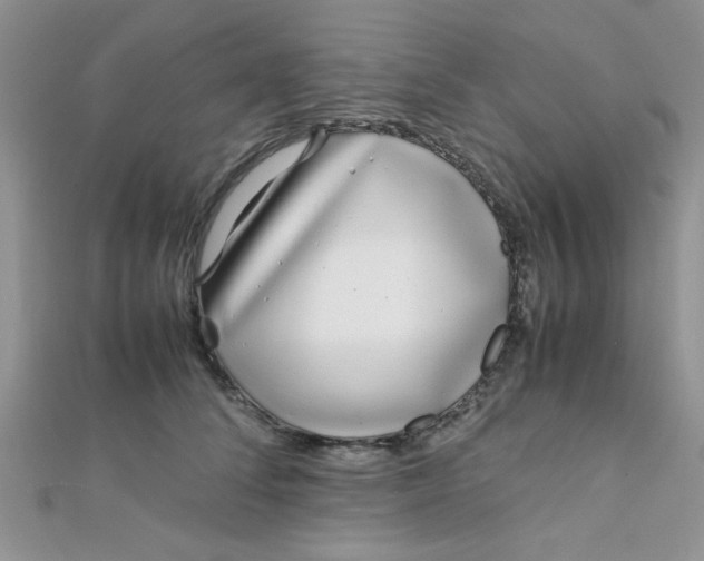 X0000112370708200909031931