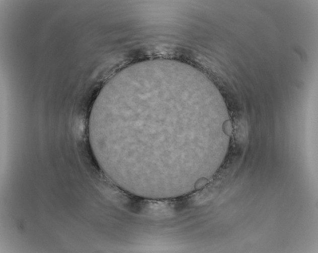 X0000112370709200909031931