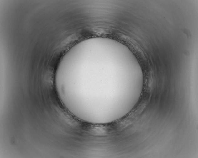 X0000112370710200909031931