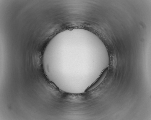 X0000112370712200909031931