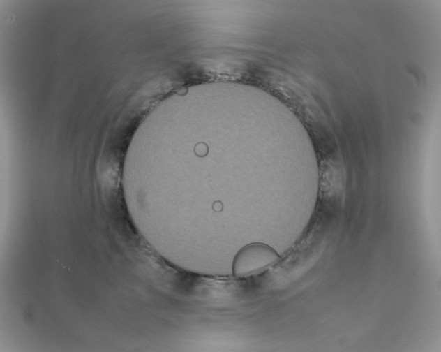 X0000112370713200909031931