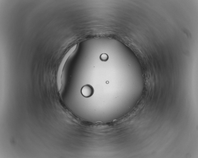 X0000112370716200909031931