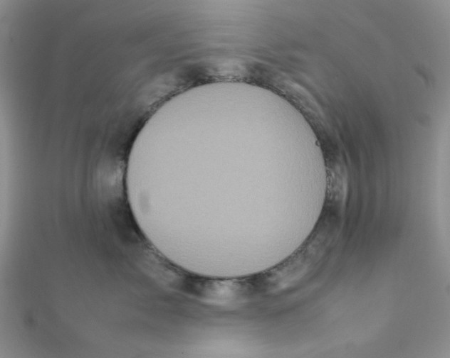 X0000112370717200909031931